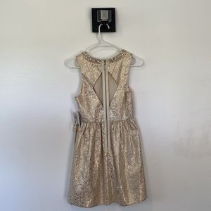 NWT Cooperative Urban Outfitters Cream & Gold Cutout Back Skater Dress